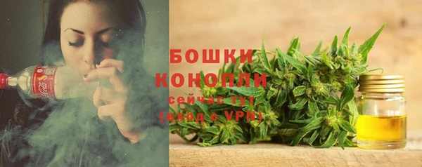 прущая мука Каменка