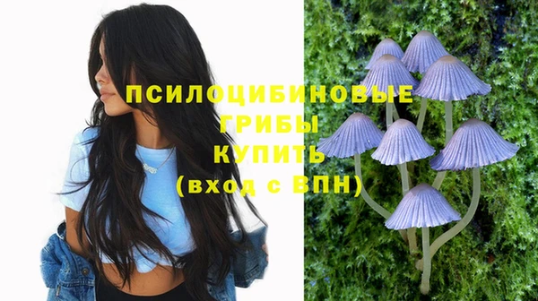 первитин Каменногорск