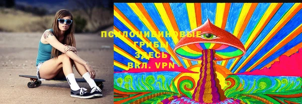 меф Каменск-Шахтинский