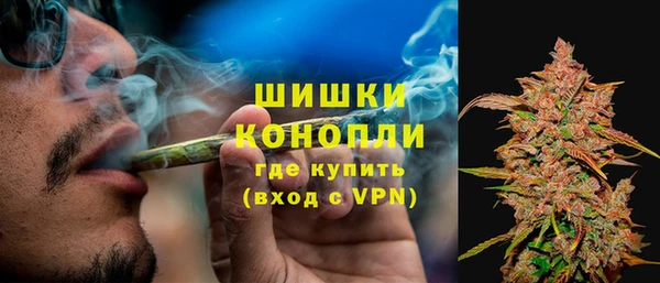 прущая мука Каменка